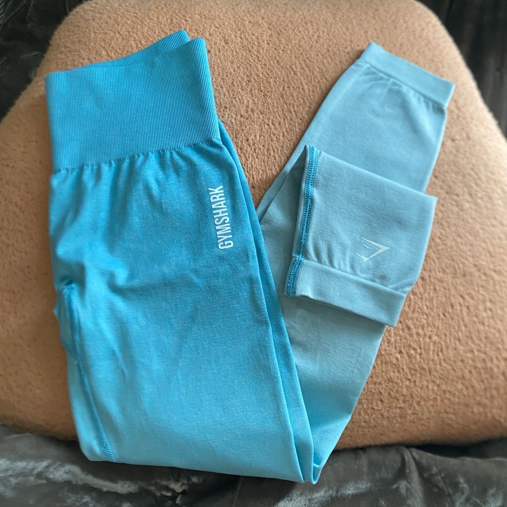 Gymshark adapt ombré seamless leggings